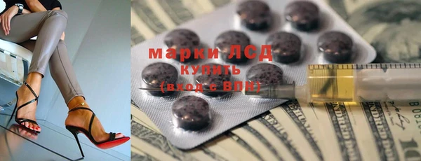 шишки Баксан