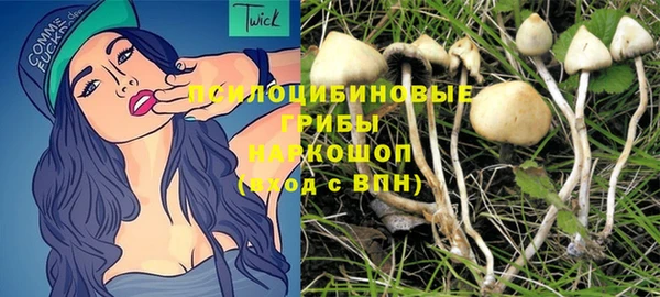 шишки Баксан