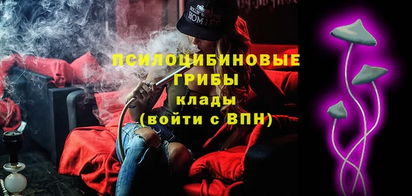 шишки Баксан