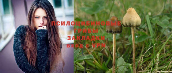 spice Балахна