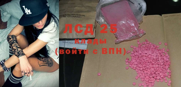 шишки Баксан