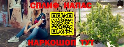 молекула духа Кунгур