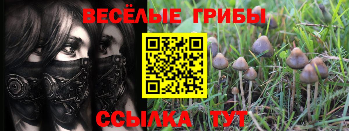 Галлюциногенные грибы мухоморы Калуга